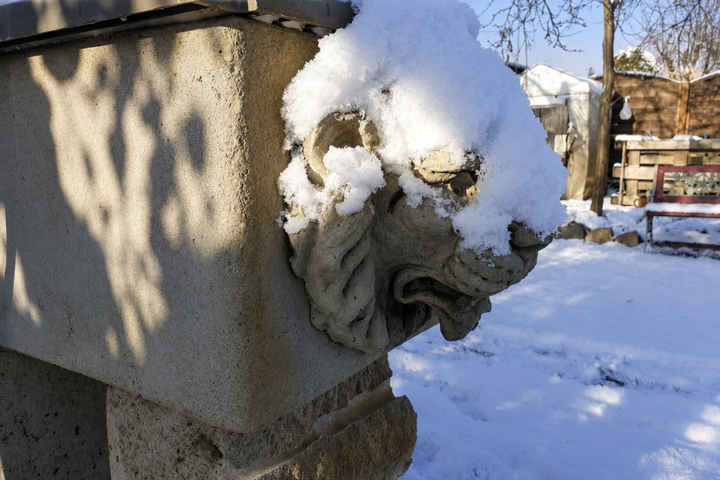 Löwenkopf-Skulptur mit Schneehaube