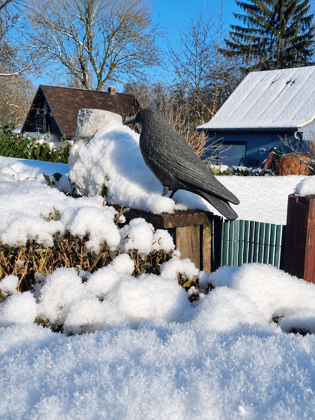 Rabenfigur auf schneebedecktem Zaun