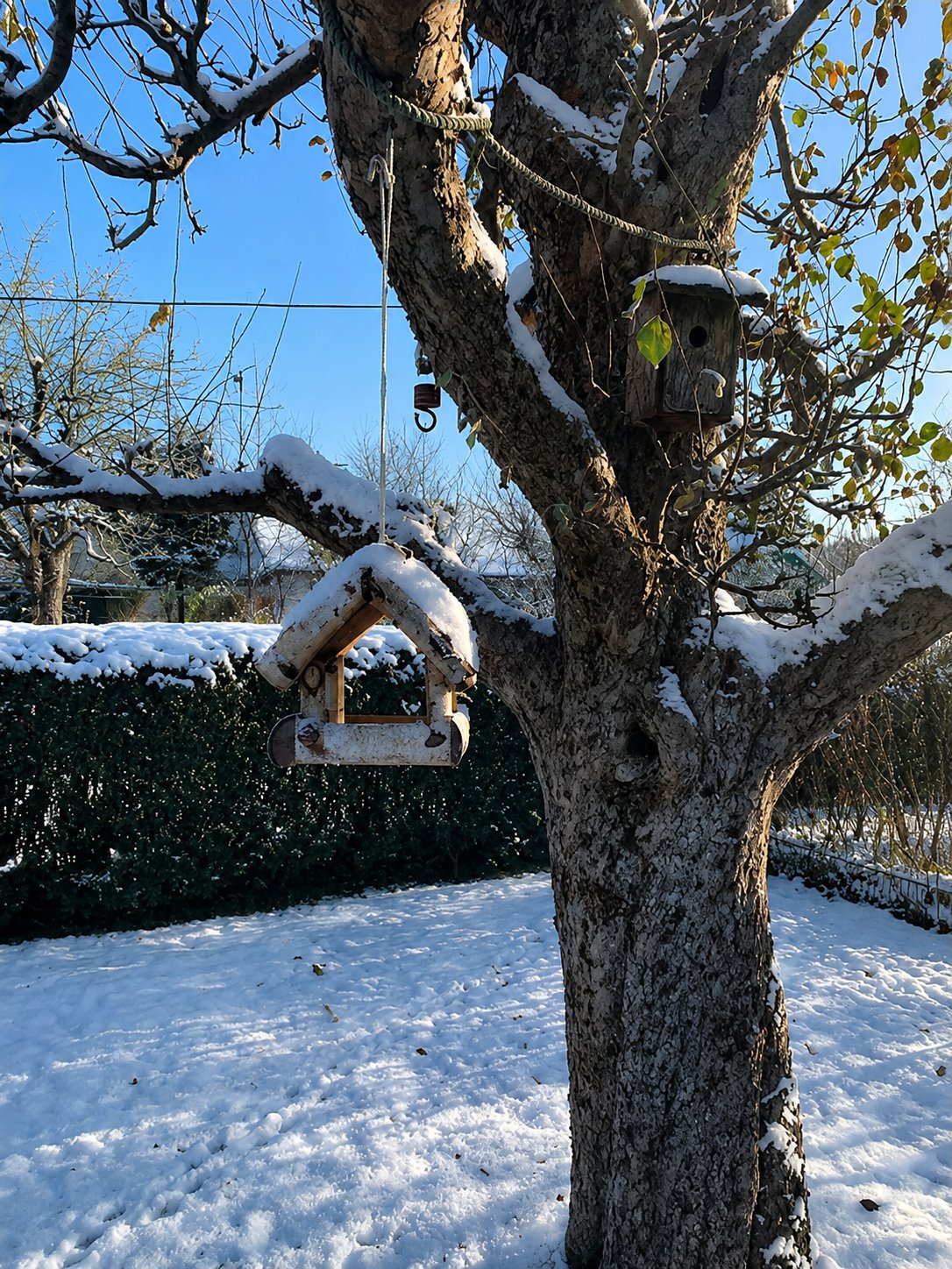 Vogelhäuschen und Futterhaus im Baum